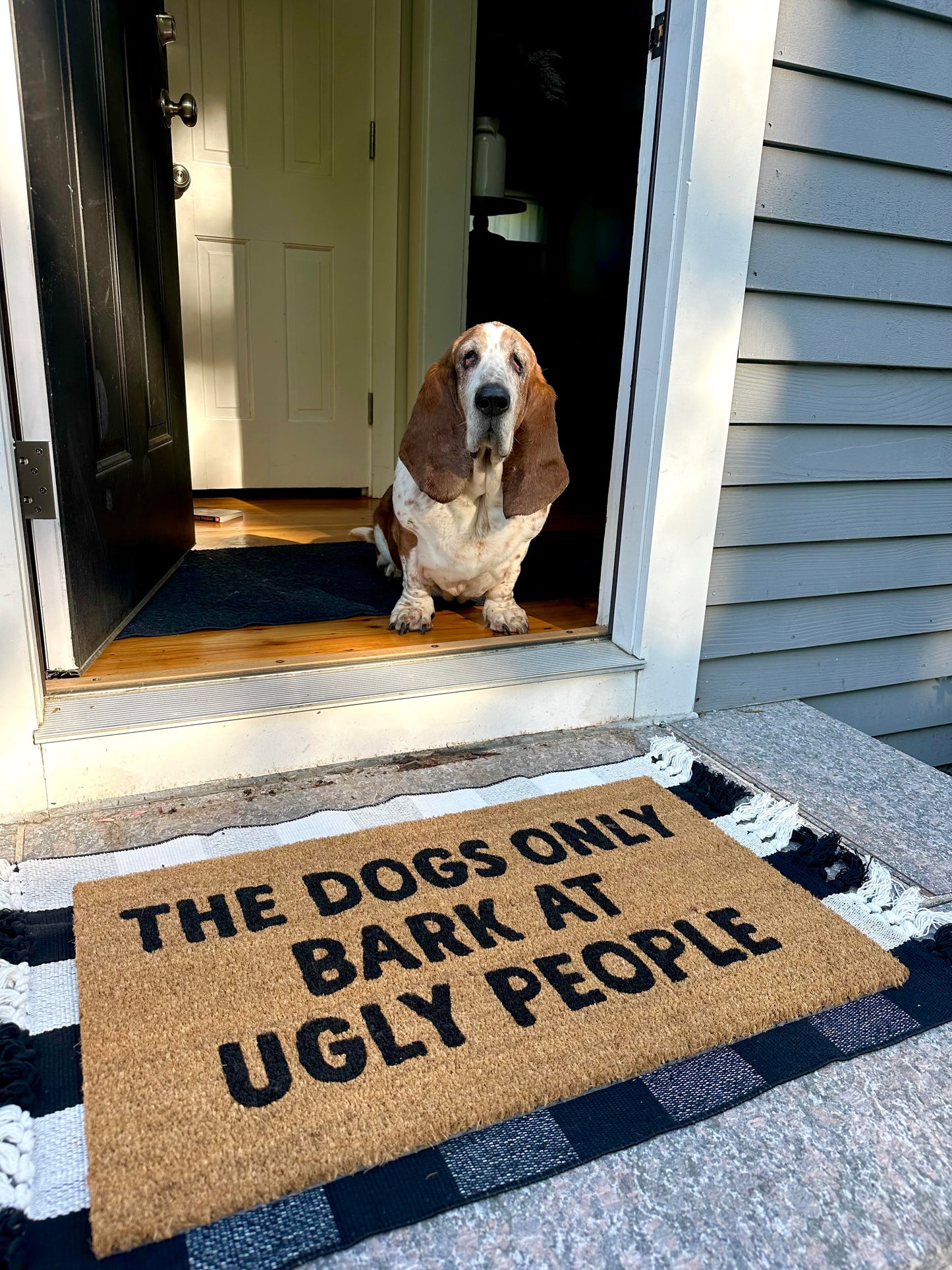 The dogs only bark at ugly people