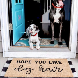 Hope You Like Dog Hair Doormat